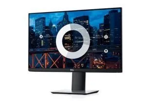 Dell 24 Monitor: P2419H